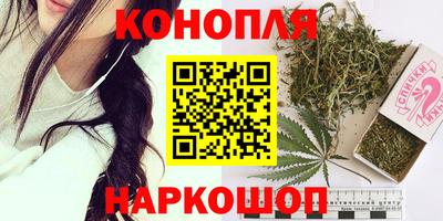 стафф Заволжье