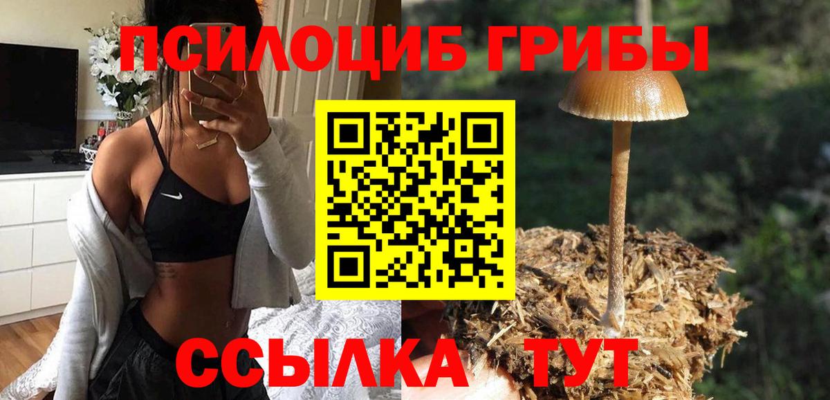 Псилоцибиновые грибы мицелий Лысьва