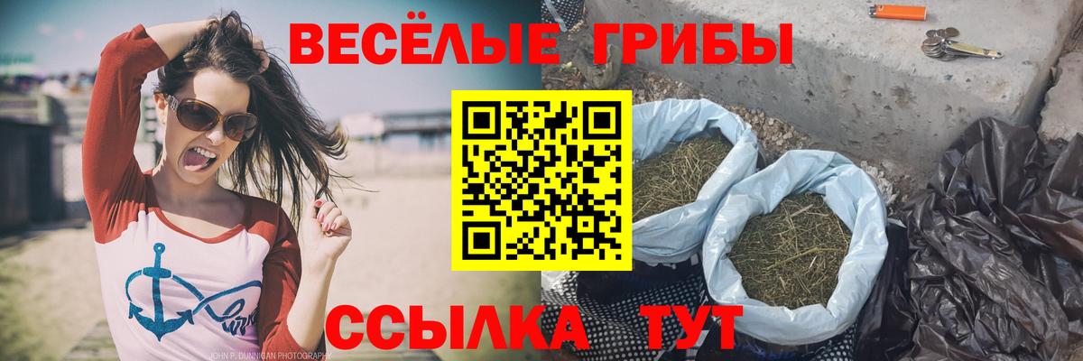 Лысьва  Галлюциногенные грибы GOLDEN TEACHER  Вход с VPN 